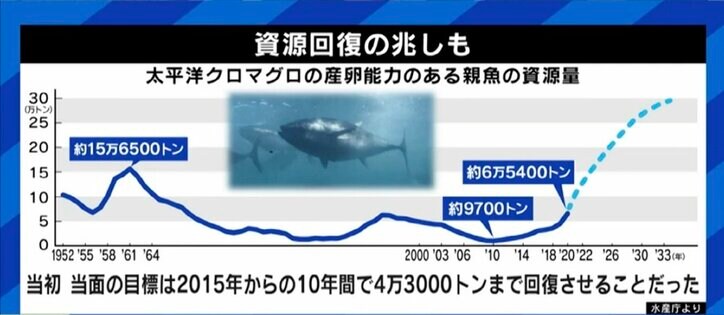 せっかく獲れたクロマグロを海に戻さなければならない現実…専門家「漁獲量の安定のため、今はまだ我慢しなければならない」
