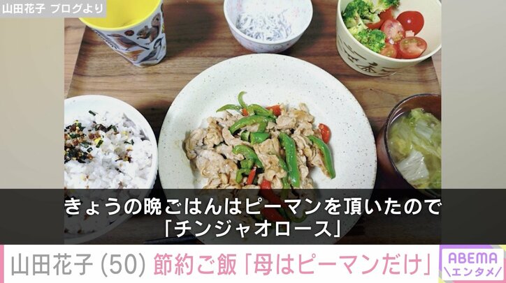 山田花子 ブログより