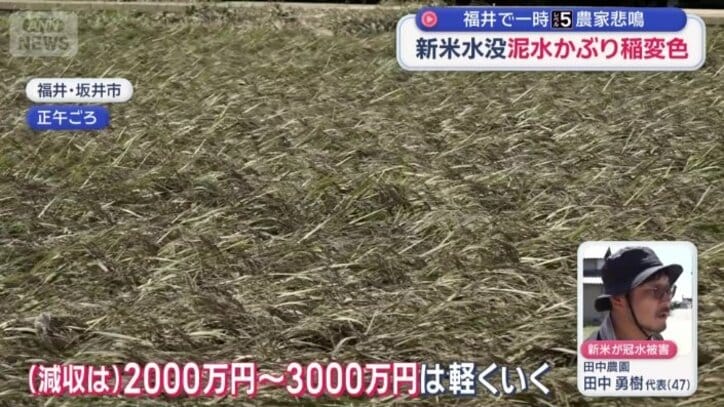 「コメの減収も起きると思う」