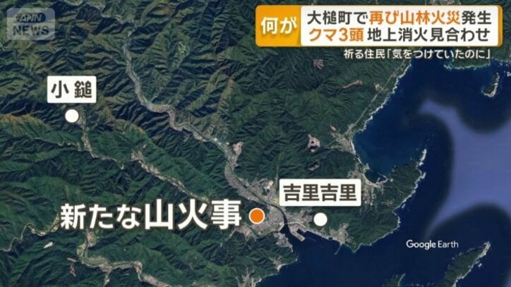 再び山林火災