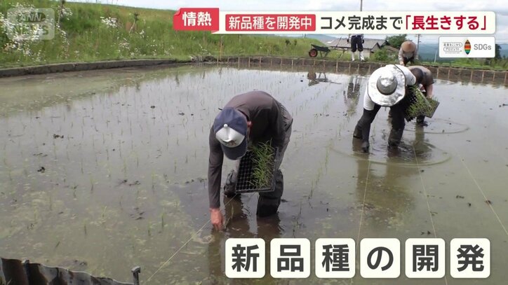 新品種の開発に奔走