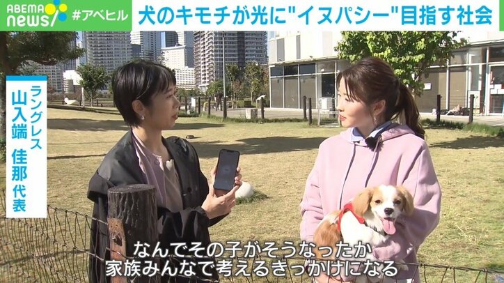 あなたは犬の気持ちが本当にわかっている？ 愛犬の感情を知る「イヌパシー」とは