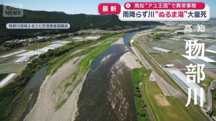 高知県中部を流れる一級河川・物部川