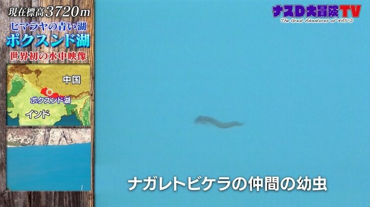 「ナスD大冒険TV」“ヒマラヤの青き瞳”ポクスンド湖、驚きの水中映像が公開
