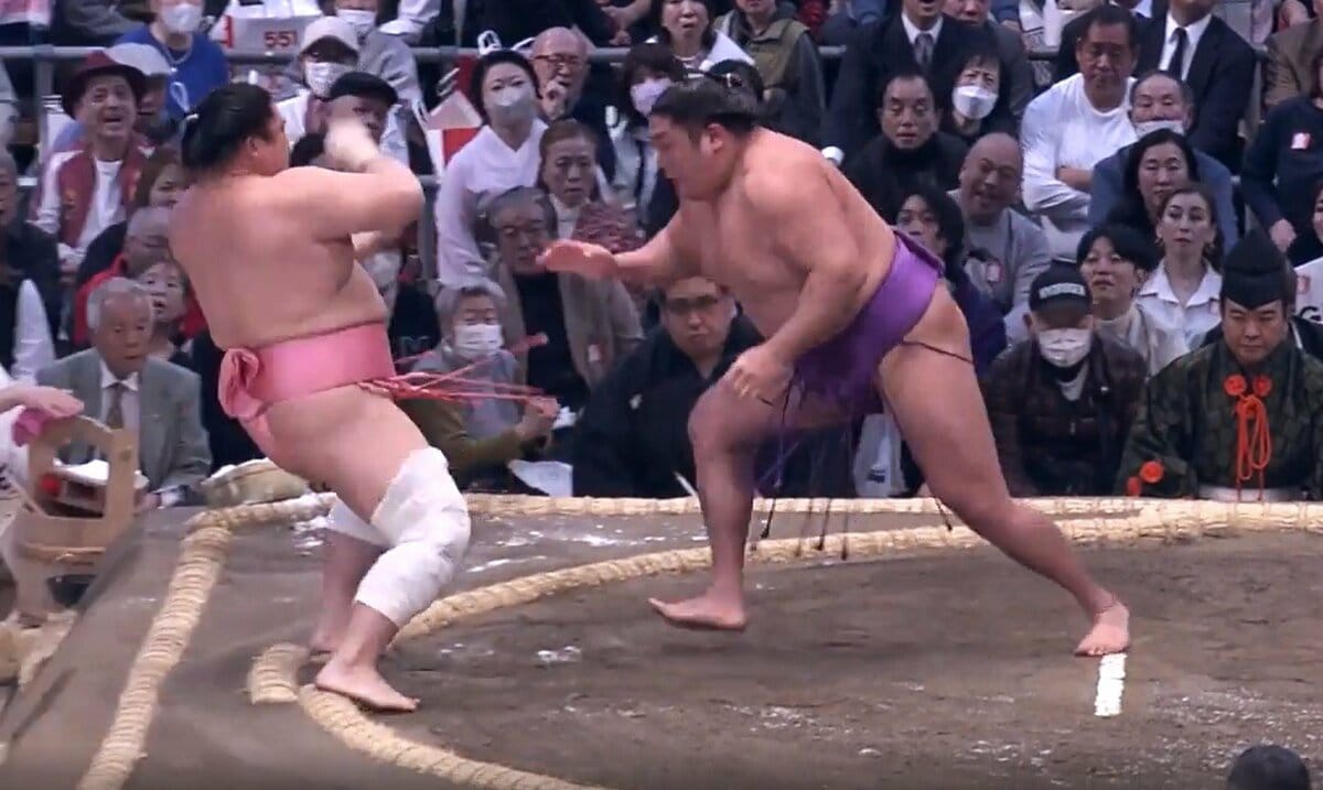 大相撲　小結・宇良　関取座布団 大相撲 小結・宇良 関取座布団 大相撲番付5枚セット 71wSKl6x9XL