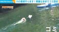 犬「ゴミを見過ごせない！」“華麗な泳ぎ” で回収するビーグル犬の姿に飼い主驚き