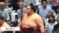 「この不思議な生物は何？」大関・琴櫻の化粧まわし、異彩を放つ“絵柄”に熱視線