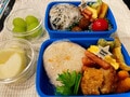 2700ツネの妻、息子達から絶賛された“最高弁当”を公開「リクエスト頂いたおかずを詰め込んで」