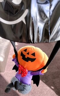 瀬戸朝香『仮装…』