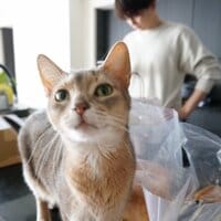 しょうくん『プロローグ 突入セヨTinder沼 ~デス or サバイブ~(後編)』