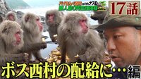 【アベマ限定】ナスD大冒険TV バイきんぐ西村の無人島0円生活体験withナスD猿島編4