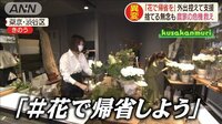 母の日迫るも相場が暴落「花で帰省を」農家を救え