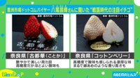 【映像】綿あめみたい？個性派品種のイチゴをスタジオで食べてみた