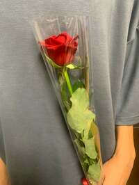 遠野なぎこ『『“骨折&ヒビ”』』