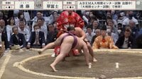 【映像】豊ノ島が驚嘆！ 翠富士の肩透かし