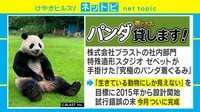 パンダがスタジオに遊びに来たよ～！