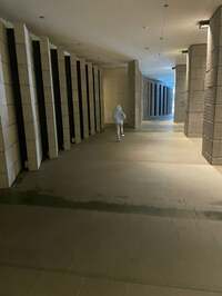 市川團十郎白猿『ようやく目覚め』