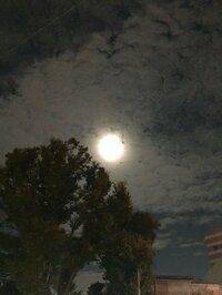 Wエンジンえとう窓口『【取り急ぎのご報告】』