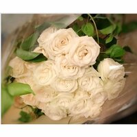 AHN MIKA『白い薔薇とちえみちゃん♪』