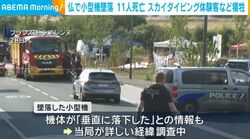 仏で小型機墜落 11人死亡 スカイダイビング体験客など犠牲