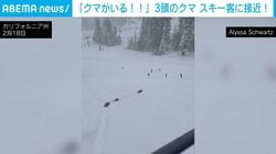 スキー場に3頭のクマ出現 「クマがいる！」スキー客に接近し危機一髪の瞬間 米