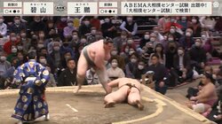 強烈な張り手！ 力士が前のめりにバタリ 「痛かっただろう」「失神KO」驚きの声