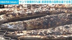 サンマ漁獲枠5％減 資源管理の国際会議で合意