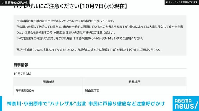 小田原市の公式HP
