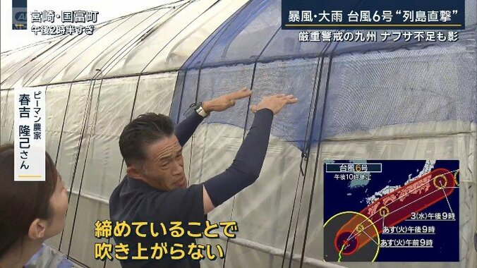 ピーマン農家　春吉隆己さん