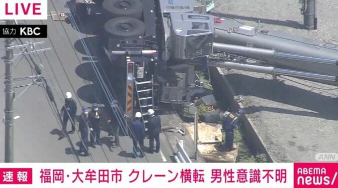 大牟田市・草木