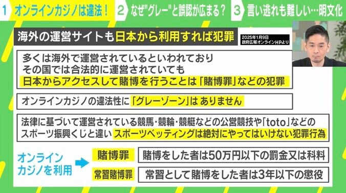 オンラインカジノについて（政府広報オンラインHP）