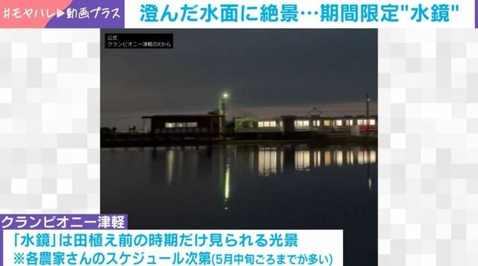 景色が溶け込んだ美しい“水鏡”