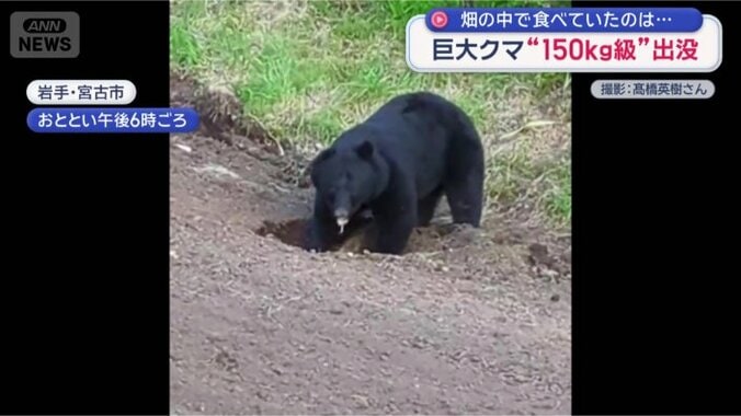 岩手県宮古市
