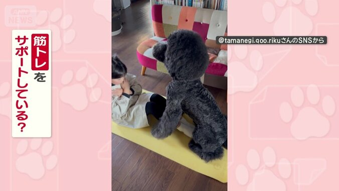 腹筋をサポートしてる？