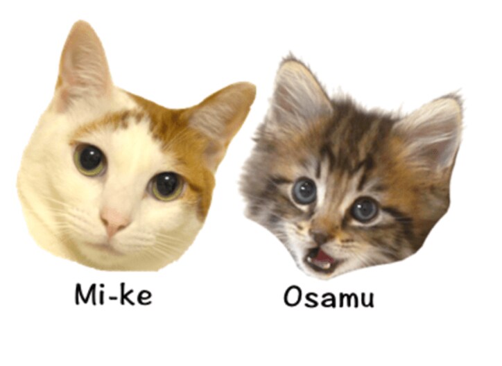 YouTubeで大人気 10匹の猫家族「10Cats. 」が可愛すぎるとネット上で話題に