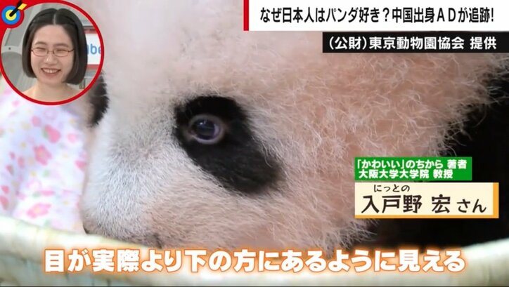 「シャンシャンは孫以上です」なぜ日本人はパンダを“好きすぎる”のか？ 2時間待ち、抽選は当たり前 中国人がツッコミ「ぬいぐるみの方がかわいい」