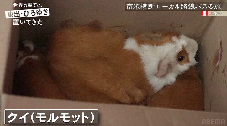 【写真・画像】東出昌大、ミスコン美女をクラブでナンパ 満面の笑みでノリノリダンス 3枚目