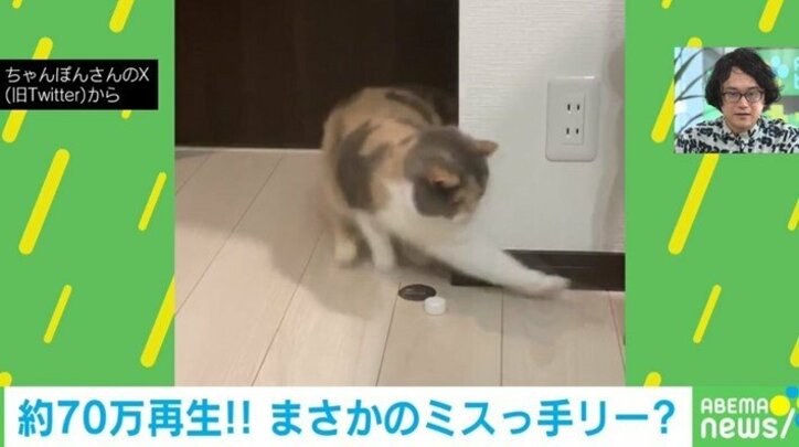 優秀さが裏目に? 一手先を読んだことでターゲットを見失うネコの“失敗劇”に爆笑の嵐