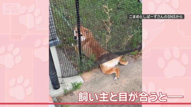 目が合った！