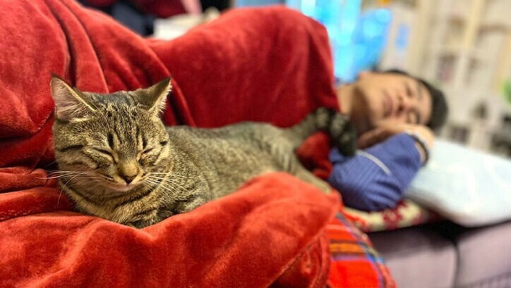 藤原紀香、夫・片岡愛之助に寄り添い眠る愛猫を公開「貴重」「ほっこり」の声
