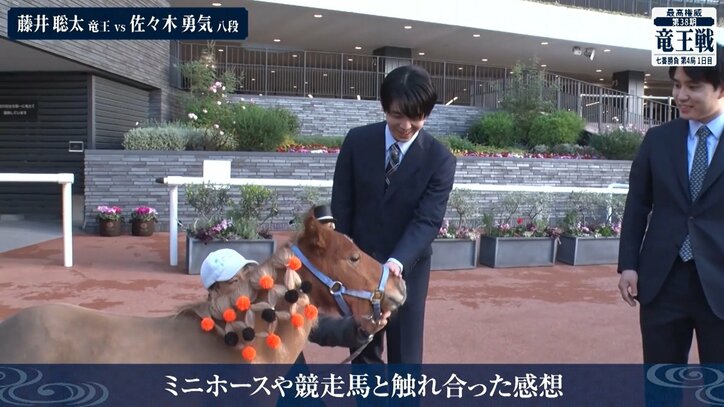 【写真・画像】　2枚目