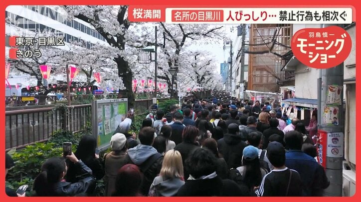 桜満開で東京各地大混雑 1日で気温激変…花見客に明暗 楽しむ外国人観光客の姿も