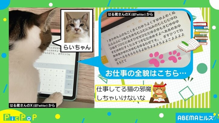 【写真・画像】ピック 0307 2枚目