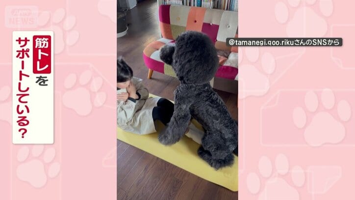 腹筋をサポートしてる？