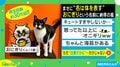 まさに“名は体を表す”!! 猫の「おにぎり」という名を体現した姿に「思った以上」「ちゃんと海苔がある」納得する人続出