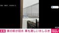 家の前が冠水…車も激しい水しぶき 愛知・津島市