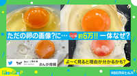 ただの卵の画像?にいいね約6万! 一体なぜ?
