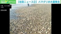 【謎現象】九十九里浜に大量ハマグリ