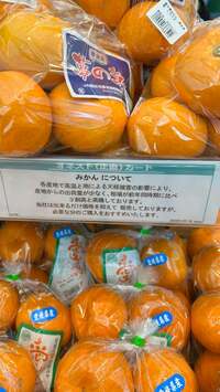 関口奈美『スーパーで高くても買うもの』