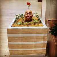 有吉弘行、錦鯉・長谷川雅紀の“開花ショット”を公開 「新種の花ですね」「お花の妖精」と反響続々